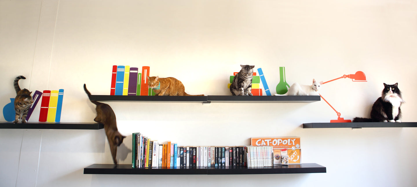 Cats, Costs and Cafe Business